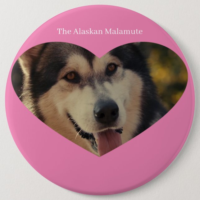 Badge 6 Inch Round Button (Front)