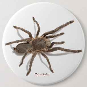 Badge 6 Inch Round Button