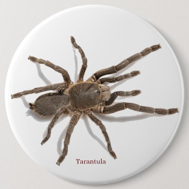 Badge 6 Inch Round Button (Front)