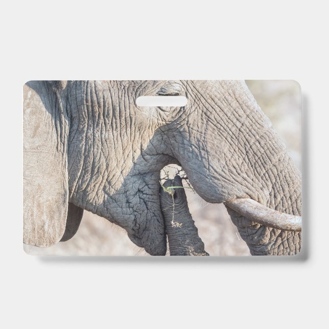 Badge Alimentation de l'éléphant (Avant)