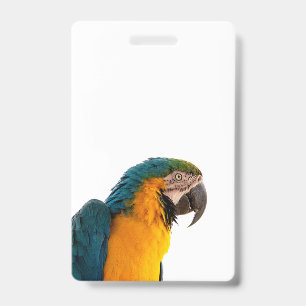 Badge Ara bleu perroquet