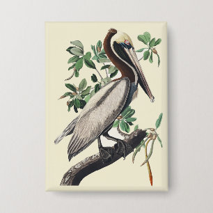 Badge Art Vintage Audubon Pélican Brun Oiseau de la Côte