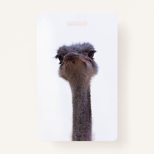 Badge autruche (Devant)