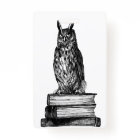 Bibliothèque Owl