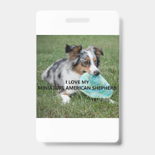 Badge Blue_Merle_Miniature_American_Shepherd amour avec 
