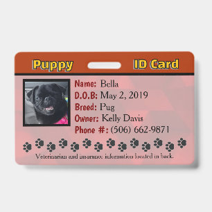 Badge Carte d'identité de chien