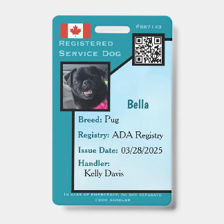 Badge Carte d'identité de chien de service sarcelle vert