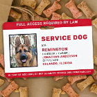 Carte d'identité photo pour chien de service blanc