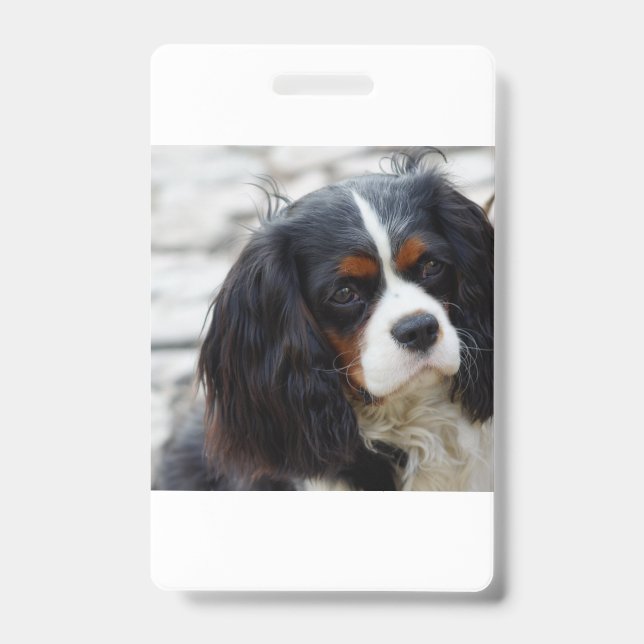 Badge cav 2 (Avant)