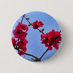 Badge Chaenomeles speciosa