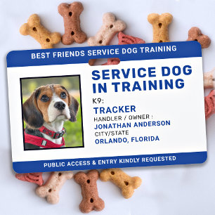 Badge Chien d'Assistance en Formation ID Bleu Photo Pers