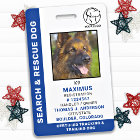 Chien de Recherche & Sauvetage SAR K9 Photo de la