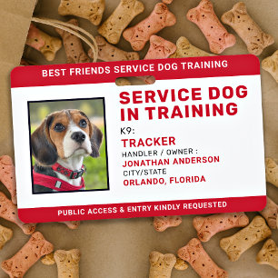 Badge Chien de service en formation ID rouge personnalis