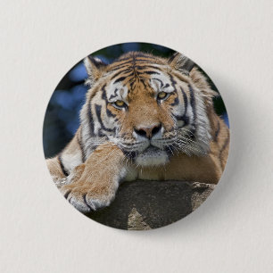 Badge Chillin'