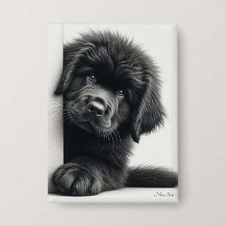 Badge Curieux chiot Terre-Neuve noir qui regarde