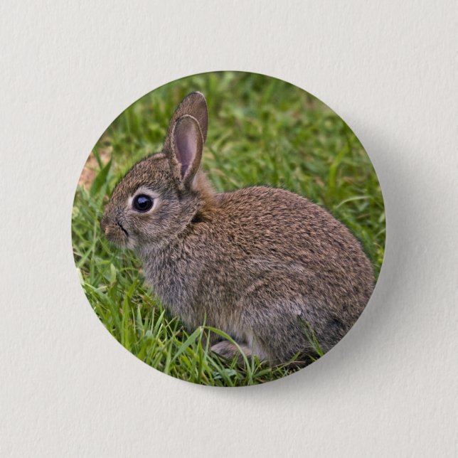 Badge de bébé lapin (Devant)
