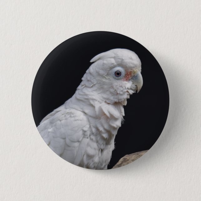 Badge de Cockatoo de Goffin (Devant)