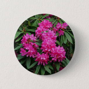 Badge de fleurs de Rhododendron rose