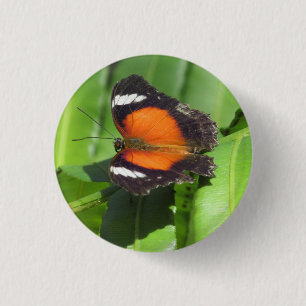 Badge de papillon tropical