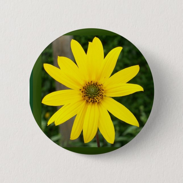 Badge de tournesol ou bouton (Devant)