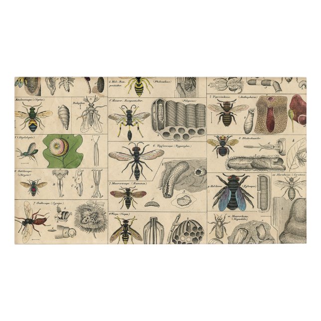 Badge D'identification Abeille Insecte Bug Wasp Nature Peinture des abeil (Devant)