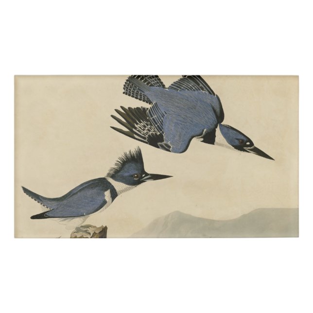 Badge D'identification Audubon Belted Kingfisher Wildlife Bird (Devant)