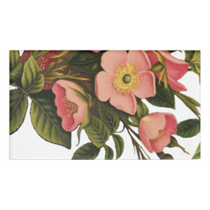 Badge D'identification Belle Botanique rose Rose vintage