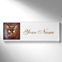 chat noir