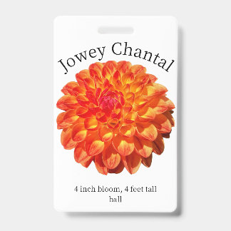 Badge d'identification Dahlia de Jowey Chantal