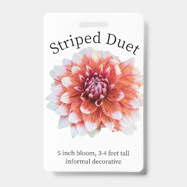 Badge d'identification Dahlia Duet strié (Avant)