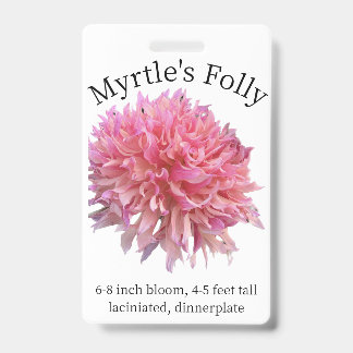 Badge d'identification de Dahlia Folie de Myrtle