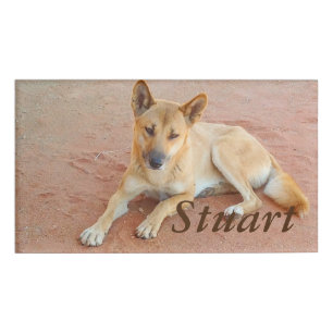Badge D'identification Étiquette nommée de dingo