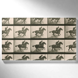 Badge D'identification Horse Motion Photographie Vintage