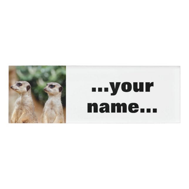 Badge D'identification Meerkat 030 (Devant)