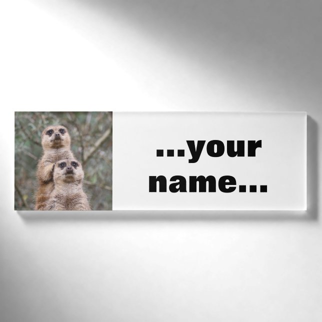 Badge D'identification Meerkat 035 (Devant)