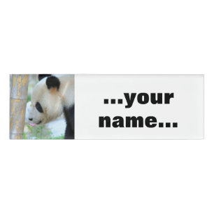 Badge D'identification Panda20170502_by_JAMFoto
