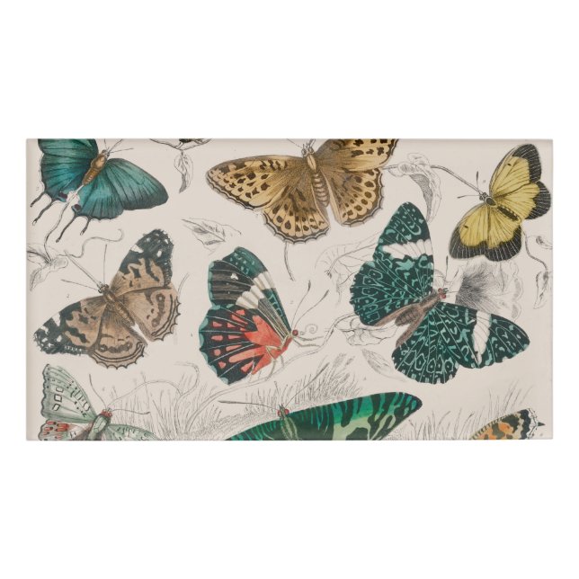 Badge D'identification Papillons Collection Antique Papillons (Devant)