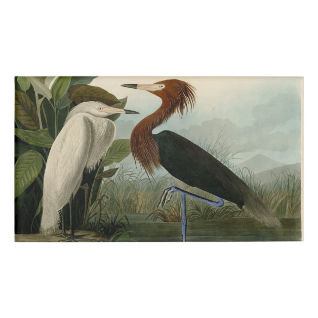 Badge D'identification Peinture de la faune d'Audubon Heron violet (Devant)