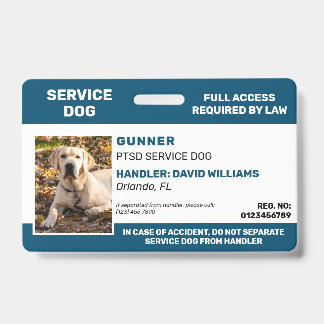 Badge d'identification personnalisé pour chien d'a