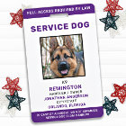 Badge d'identification personnel violet pour chien