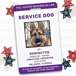 Badge d'identification personnel violet pour chien