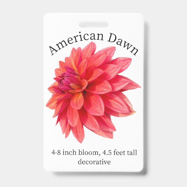 Badge d'identité American Dawn Dahlia (Avant)
