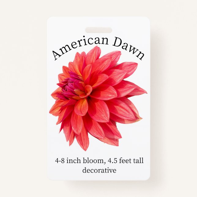 Badge d'identité American Dawn Dahlia (Devant)