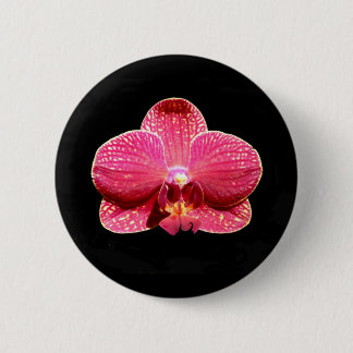 Badge d'orchidée papillon