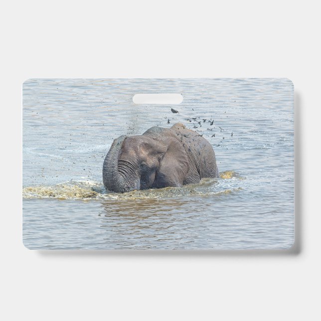 Badge Éléphant de bain (Avant)