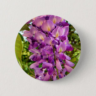 Badge en fleur de Wisteria