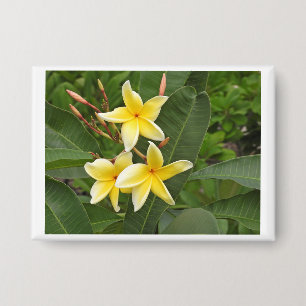 Badge Épinglette de photo de fleur tropicale de plumeria