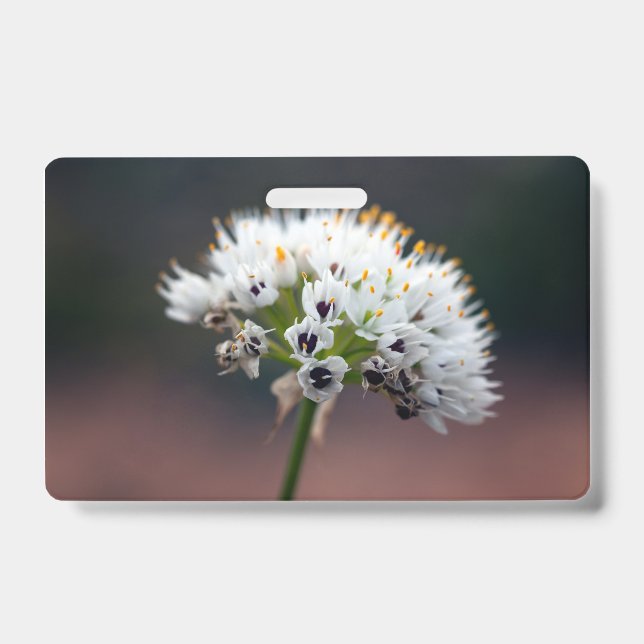 Badge Fleur Sauvage (Avant)