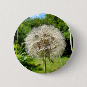 Badge Fleur sauvage de la barbe de chèvre