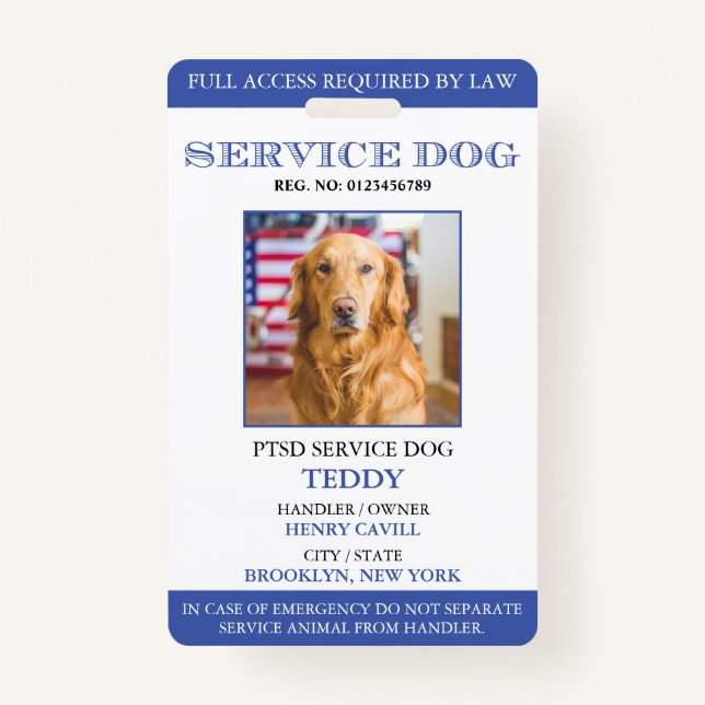 Badge Identifiant photo de chien de service bleu blanc p (Devant)